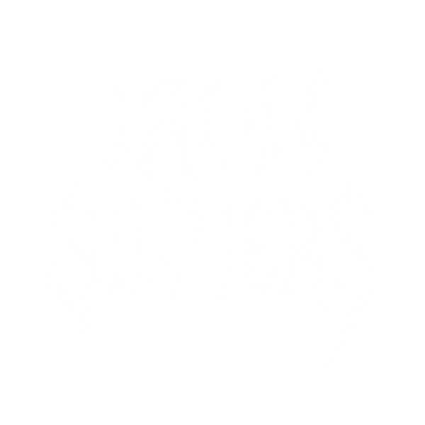 Iron Sinners